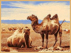 Шерстяной пейзажный ковер Erdenet Hunnu 6S873 82 верблюды