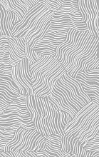 Ковер в гостиную серый BRIZ F658 GRAY